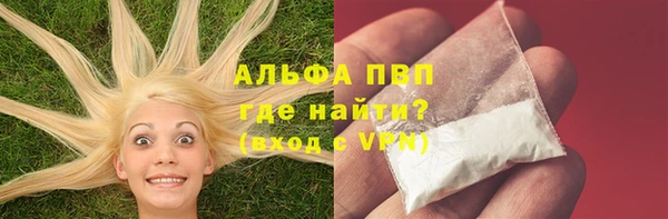 прущие грибы Арсеньев