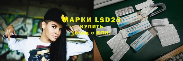 прущие грибы Армянск