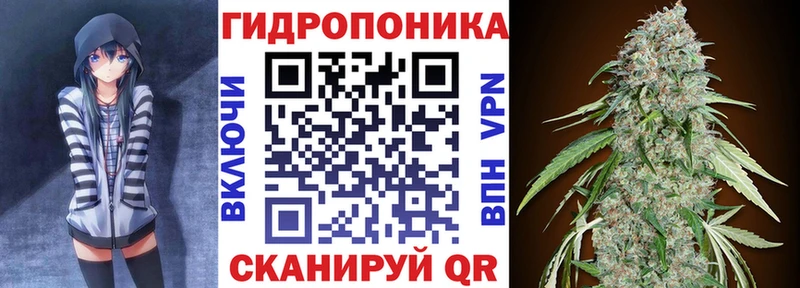 дарнет шоп  Куртамыш  Бошки марихуана конопля 